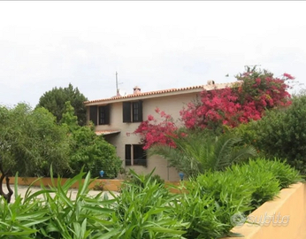 Porto ottiolu sul mare