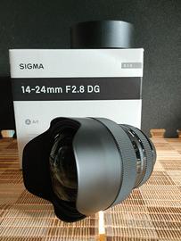 Obiettivo Sigma 14-24 2.8  DG Art