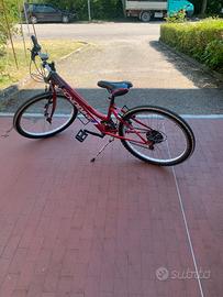 Bicicletta bambina