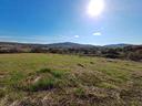 azienda-agricola