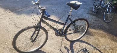 Biciclette Mountain Bike