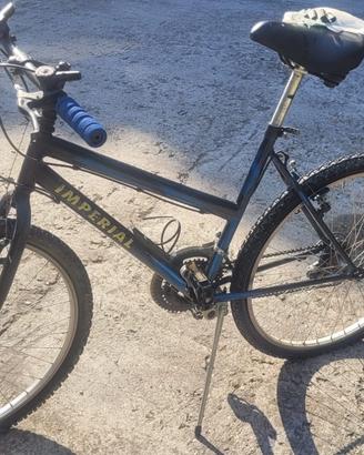 Biciclette Mountain Bike