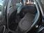 Immagine 19