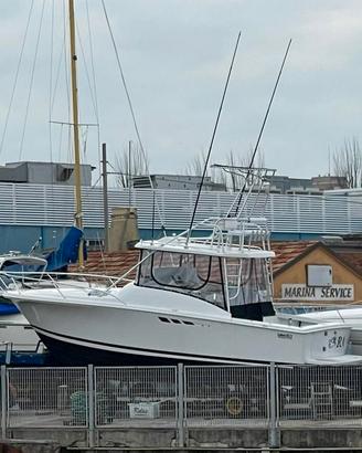 Luhrs 290 tounament
