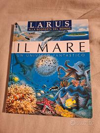 Larus - Il Mare 