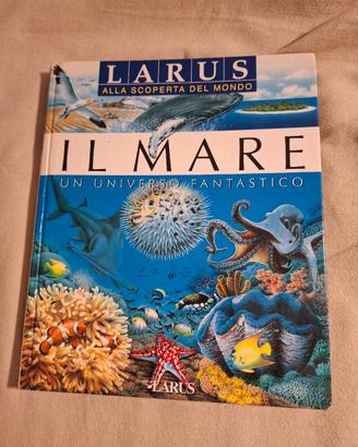 Larus - Il Mare 
