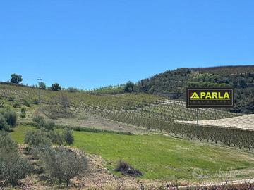 Terreno di 100000 m² a Delia