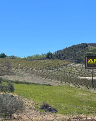 Terreno di 100000 m² a Delia