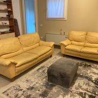 Coppia divani in pelle