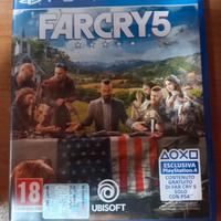 Far Cry 5 per PS4