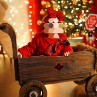 carrettino in legno per bambini 