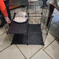 Gabbia per gatti