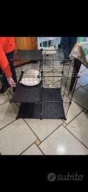 Gabbia per gatti
