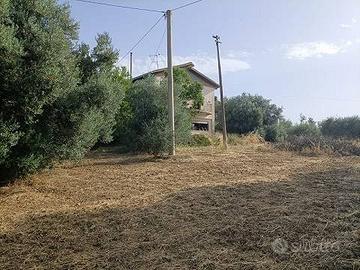 Rif.3650RV95942| terreno agricolo caltanissetta