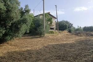 Rif.3650RV95942| terreno agricolo caltanissetta