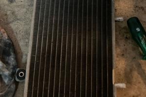 Radiatore hexagon 250