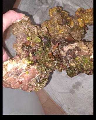 rocce 