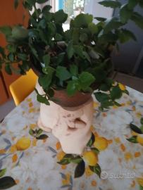 Ceppo legno 35cm.altezza 22 ×18cm.larghezza