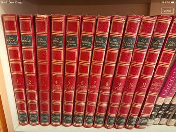 Enciclopedia De Agostini