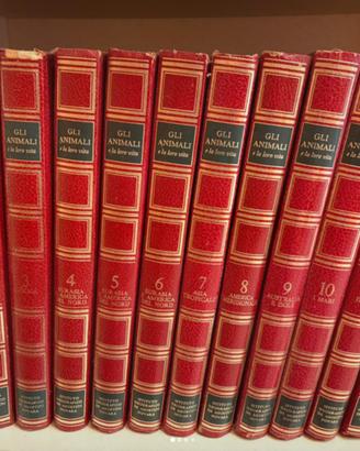 Enciclopedia De Agostini