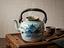 Immagine 1
