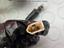 Immagine 12