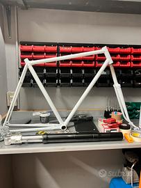 Telaio bicicletta verniciato da uomo