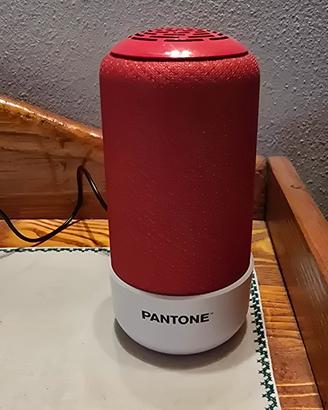 Cassa Bluetooth Pantone