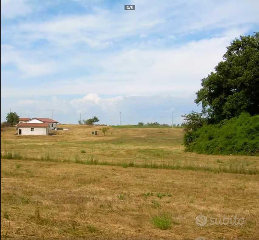 Terreno agricolo con Abitazione E annessi - Vista 4