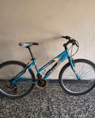 Bicicletta ragazzi