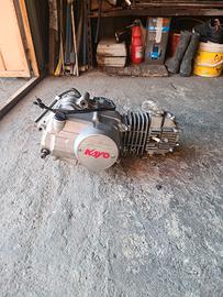 blocco motore  yx pit bike kayo