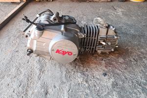 blocco motore  yx pit bike kayo