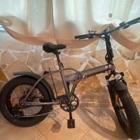 Bicicletta elettrica