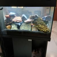 Acquario JUWEL RIO 120LED