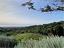 Immagine 22