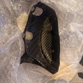 Protezioni in carbonio per Ducati V2 - 1199