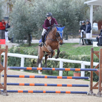Cavalla da salto