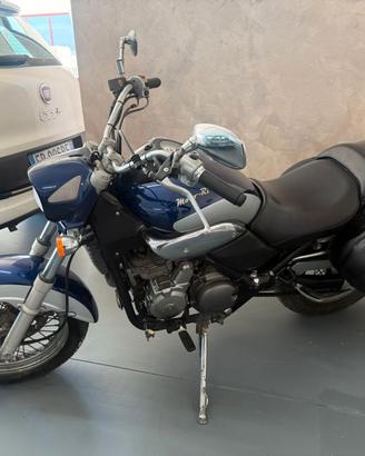 BETA EURO 350 12 MESI DI GARANZIA