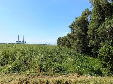 Bilocale annesso con terreno