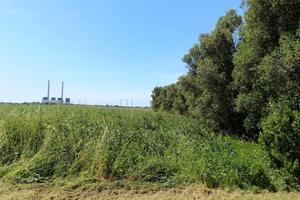 Bilocale annesso con terreno