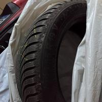 Pneumatici invernali 225/55 R19 99V