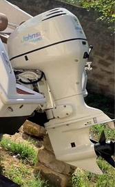 Johnson 115cv anno 2004