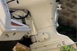 Johnson 115cv anno 2004