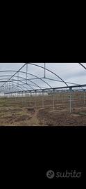 Azienda serre e terreno