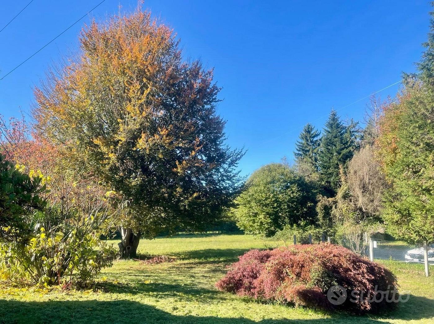 Villa singola Castronno [Cod. rif 3271697VRG] - Vista 5
