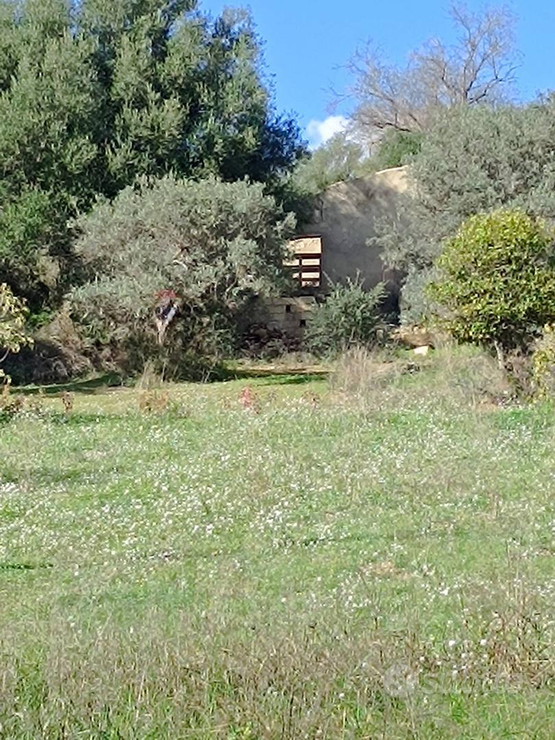Terreno - Caltagirone - Vista 4