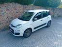 fiat-panda-1-2-young