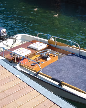 Boston Whaler 15