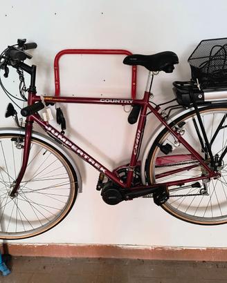 Citybike a pedalata assistita