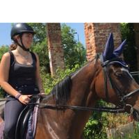 Mezza fida cavallo san siro